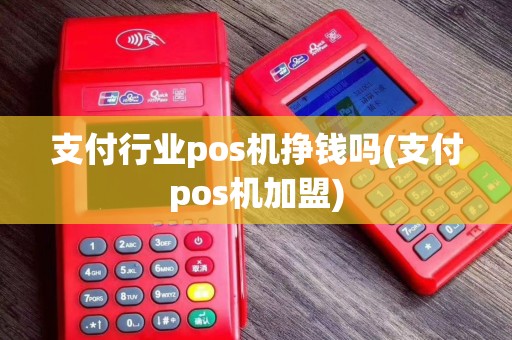 支付行业pos机挣钱吗(支付pos机加盟)