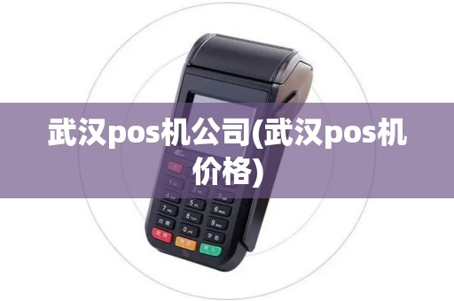 武汉pos机公司(武汉pos机价格)