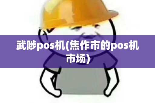 武陟pos机(焦作市的pos机市场)