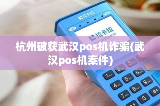 杭州破获武汉pos机诈骗(武汉pos机案件)