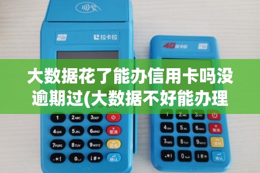大数据花了能办信用卡吗没逾期过(大数据不好能办理pos机)