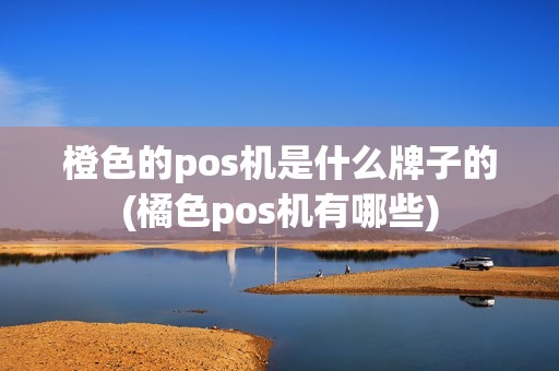 橙色的pos机是什么牌子的(橘色pos机有哪些)