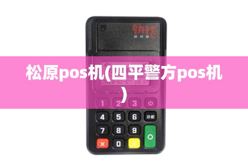 松原pos机(四平警方pos机)