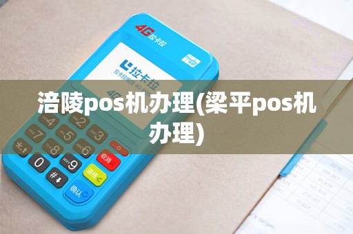 涪陵pos机办理(梁平pos机办理)