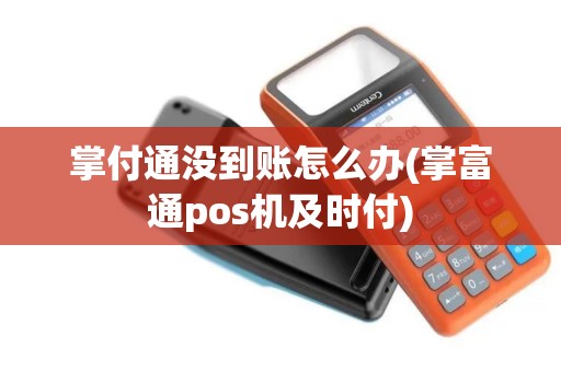 掌付通没到账怎么办(掌富通pos机及时付)
