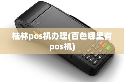 桂林pos机办理(百色哪里有pos机)