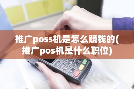 推广poss机是怎么赚钱的(推广pos机是什么职位)