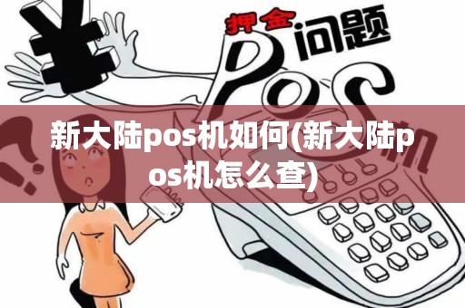 新大陆pos机如何(新大陆pos机怎么查)