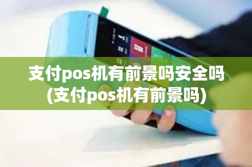 支付pos机有前景吗安全吗(支付pos机有前景吗)