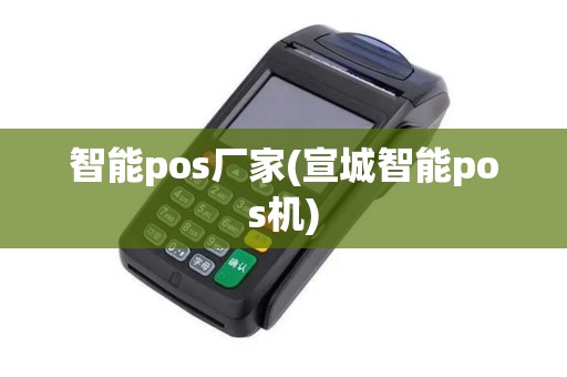 智能pos厂家(宣城智能pos机)
