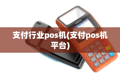 支付行业pos机(支付pos机平台)