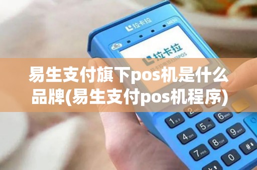 易生支付旗下pos机是什么品牌(易生支付pos机程序)