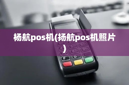 杨航pos机(扬航pos机照片)