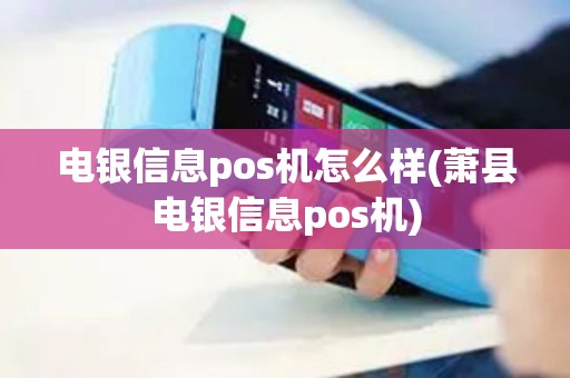 电银信息pos机怎么样(萧县电银信息pos机)