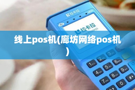 线上pos机(廊坊网络pos机)
