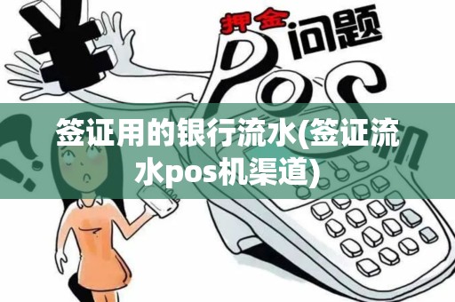 签证用的银行流水(签证流水pos机渠道)