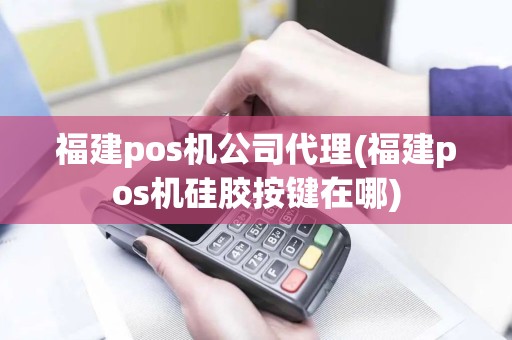 福建pos机公司代理(福建pos机硅胶按键在哪)
