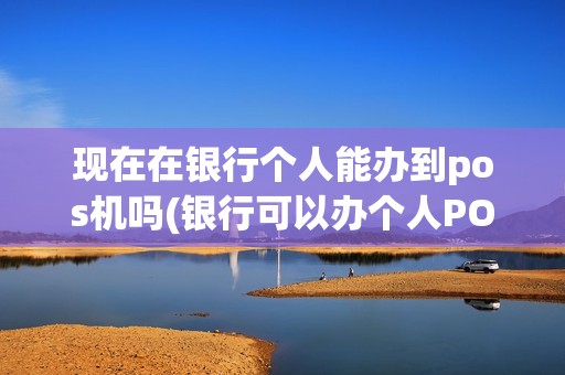 现在在银行个人能办到pos机吗(银行可以办个人POS机2019)