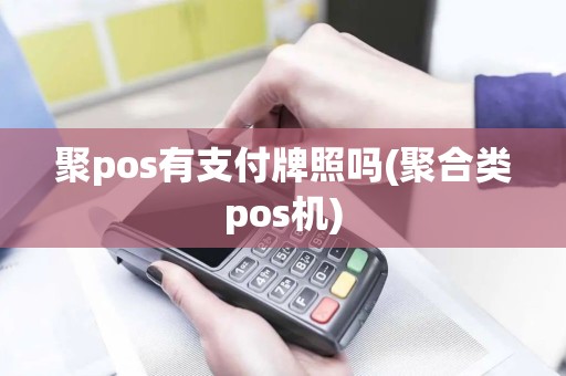 聚pos有支付牌照吗(聚合类pos机)