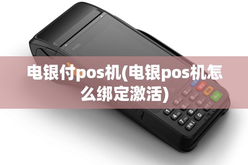 电银付pos机(电银pos机怎么绑定激活)