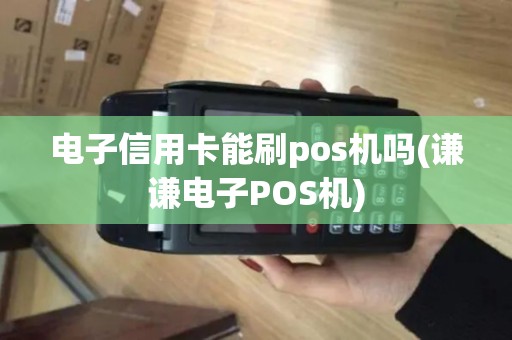 电子信用卡能刷pos机吗(谦谦电子POS机)