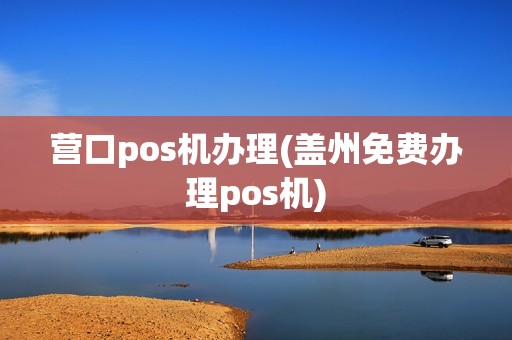营口pos机办理(盖州免费办理pos机)
