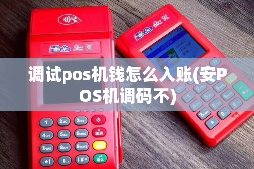 调试pos机钱怎么入账(安POS机调码不)