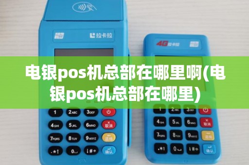 电银pos机总部在哪里啊(电银pos机总部在哪里)