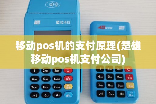 移动pos机的支付原理(楚雄移动pos机支付公司)
