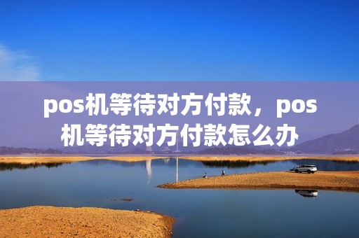 pos机等待对方付款，pos机等待对方付款怎么办