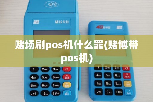 赌场刷pos机什么罪(赌博带pos机)