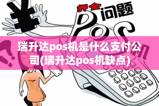 瑞升达pos机是什么支付公司(瑞升达pos机缺点)