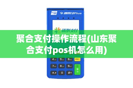 聚合支付操作流程(山东聚合支付pos机怎么用)