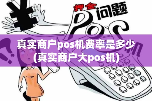 真实商户pos机费率是多少(真实商户大pos机)