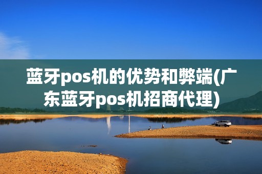 蓝牙pos机的优势和弊端(广东蓝牙pos机招商代理)