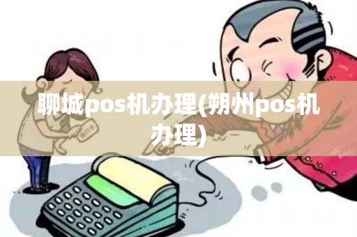 聊城pos机办理(朔州pos机办理)