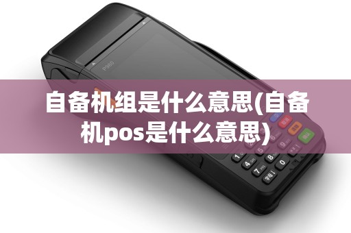 自备机组是什么意思(自备机pos是什么意思)