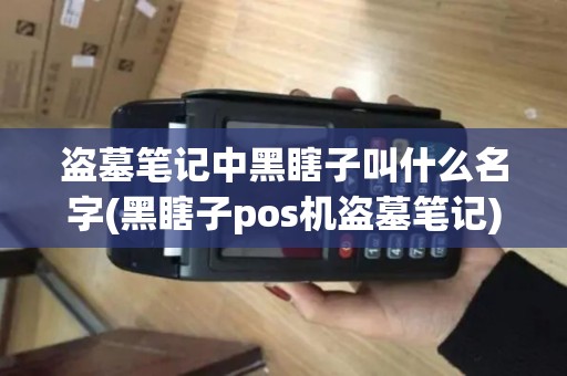 盗墓笔记中黑瞎子叫什么名字(黑瞎子pos机盗墓笔记)