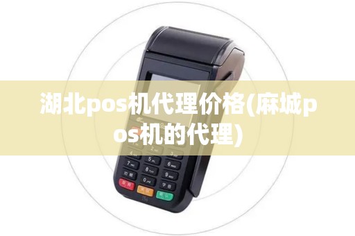 湖北pos机代理价格(麻城pos机的代理)