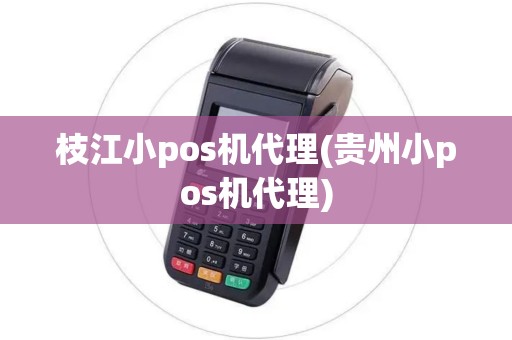 枝江小pos机代理(贵州小pos机代理)