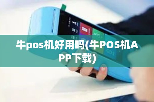 牛pos机好用吗(牛POS机APP下载)