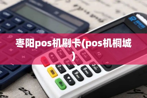 枣阳pos机刷卡(pos机桐城)