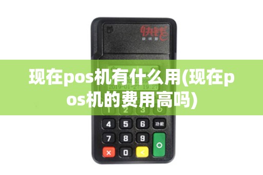 现在pos机有什么用(现在pos机的费用高吗)