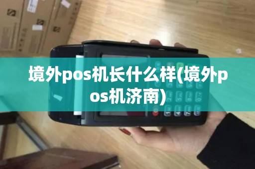 境外pos机长什么样(境外pos机济南)