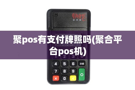 聚pos有支付牌照吗(聚合平台pos机)