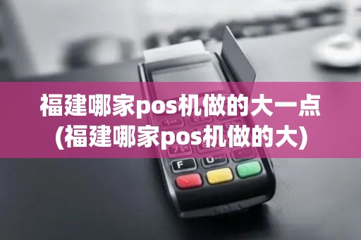 福建哪家pos机做的大一点(福建哪家pos机做的大)