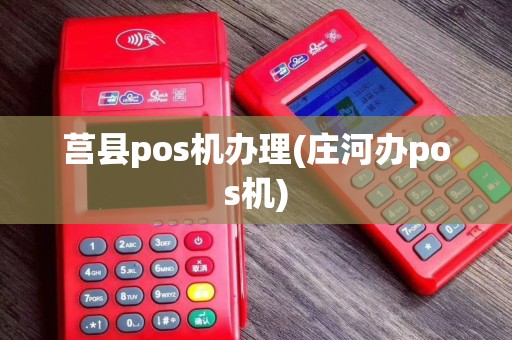 莒县pos机办理(庄河办pos机)