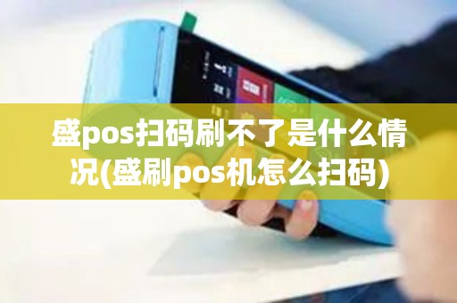盛pos扫码刷不了是什么情况(盛刷pos机怎么扫码)