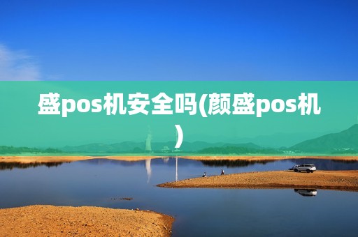 盛pos机安全吗(颜盛pos机)
