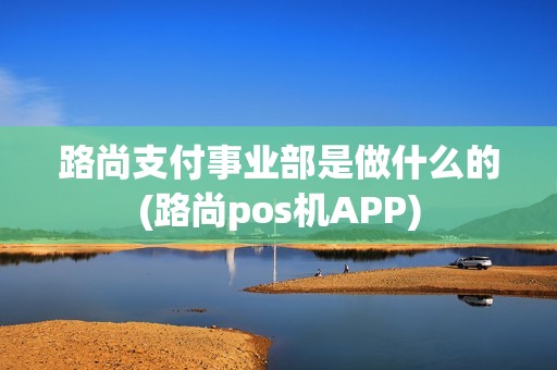 路尚支付事业部是做什么的(路尚pos机APP)